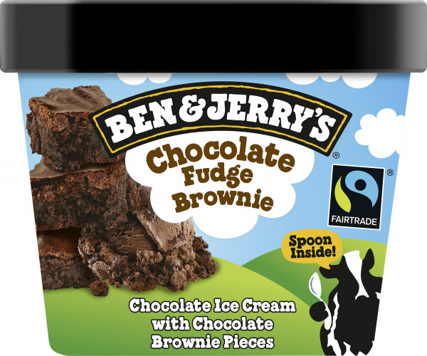 B&amp;J Chocolate Fudge Brownie 12x100ml