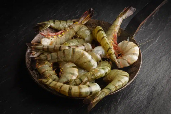 Prawns ohne Kopf mit Schale 16-20 per lbs