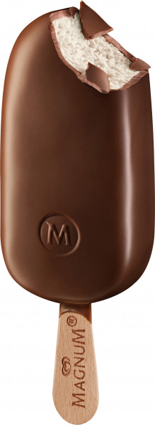 Magnum Classic 20x110ml